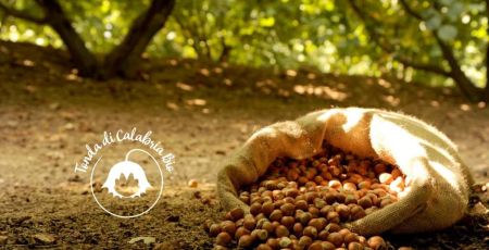 nocciola tonda di calabria bio b3a6e1ef - Meraviglie di Calabria - 5