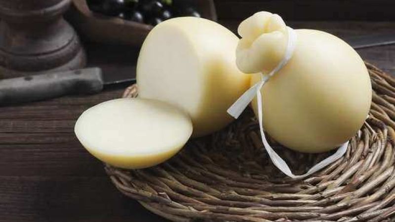 Saracena, Regione e Slow Food presentano “Presidiamo la Calabria”