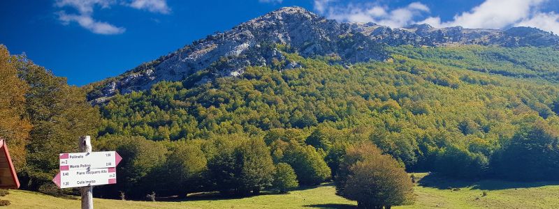 parco nazionale pollino b59c5e25 - Home - 34 Calabria in primavera, borghi natura e archeologia da scoprire