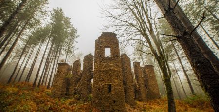 Parco delle serre castello baronessa Enrichetta Scoppa ph Antonio Arico 1 b6086f7b - Meraviglie di Calabria - 17