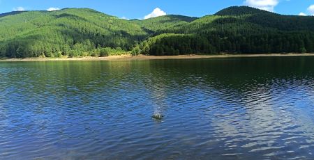 Sila lago b65e9068 - Meraviglie di Calabria - 47