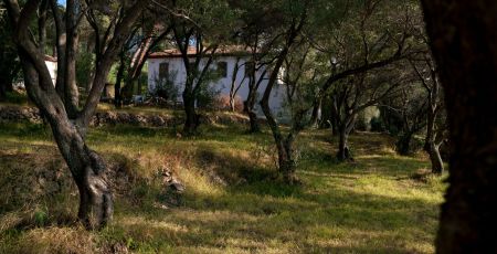 Villa Repaci foto Turismo reggio calabria b653d622 - Meraviglie di Calabria - 15