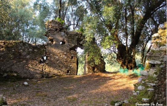 WhatsApp Image 2024 06 20 at 17.24.56 b62a5e83 - Meraviglie di Calabria - 44