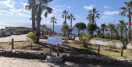 giardino capo vaticano b6481bb6 - Meraviglie di Calabria - 35