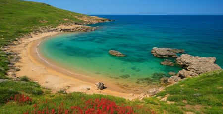 saraceni b68216ad - Meraviglie di Calabria - 9