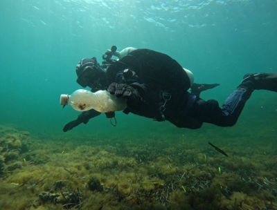 Ambiente Mare Italia, in Calabria 31 eventi per la Settimana Verde