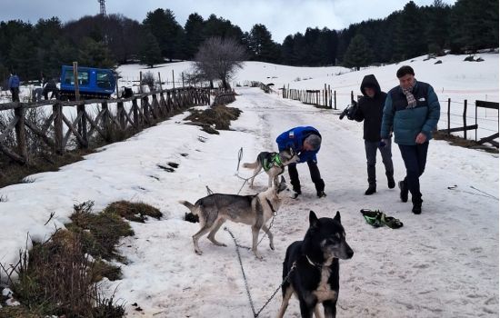 215491 b8be03df - Meraviglie di Calabria - 1