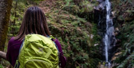 Escursioni Parco delle Serre 1 b81c01de - Meraviglie di Calabria - 46