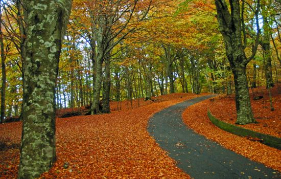PARCO REGIONALE DELLE SERRE 1