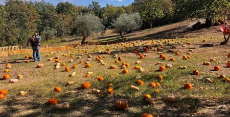 Valle delle zucche 10 1 b82287ac - Meraviglie di Calabria - 11