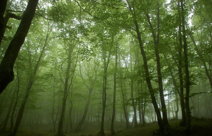Il cuore selvaggio dell’Aspromonte