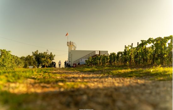 terre di cosenza