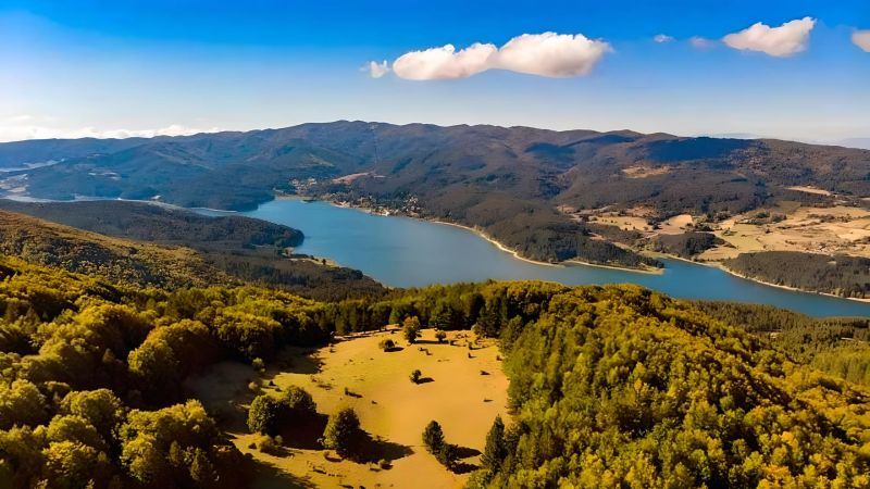 Sila Lago Arvo bad7ce18 - Parco Nazionale della Sila, l’IA per tutelare la biodiversità forestale - 1 Parco Nazionale della Sila, l’IA per tutelare la biodiversità forestale