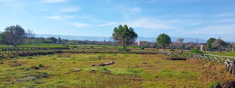 Metti una domenica tra gli ulivi, nel Parco Archeologico dell’antica Medma