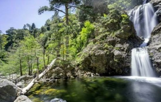cascate menta amendolea parco aspromonte 2 1 bb62a362 - Meraviglie di Calabria - 35