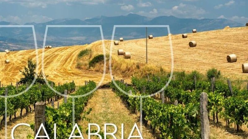 tre bicchieri calabria 1 bb7638b5 - Tre Bicchieri Gambero Rosso, quattro i vini calabresi top 2025 - 1 Tre Bicchieri Gambero Rosso, quattro i vini calabresi top 2025