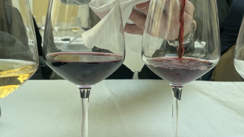IMG 9496 2 scaled e1679051870888 bc5bae54 - La strada dei vini reggini è tracciata - 1 La strada dei vini reggini è tracciata