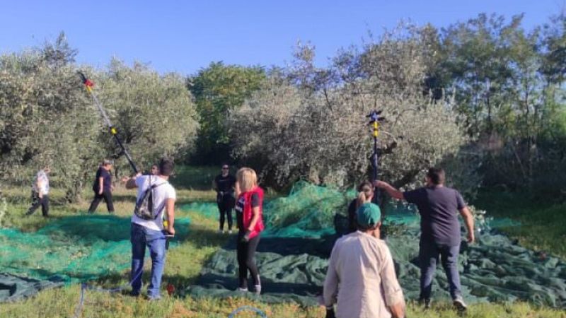 MOLITURA AGRARIO 696x443 1 bc30cad4 - Il miglior extravergine prodotto dagli Agrari d’Italia? Il “Momena” di Corigliano-Rossano - 1 Il miglior extravergine prodotto dagli Agrari d’Italia? Il “Momena” di Corigliano-Rossano