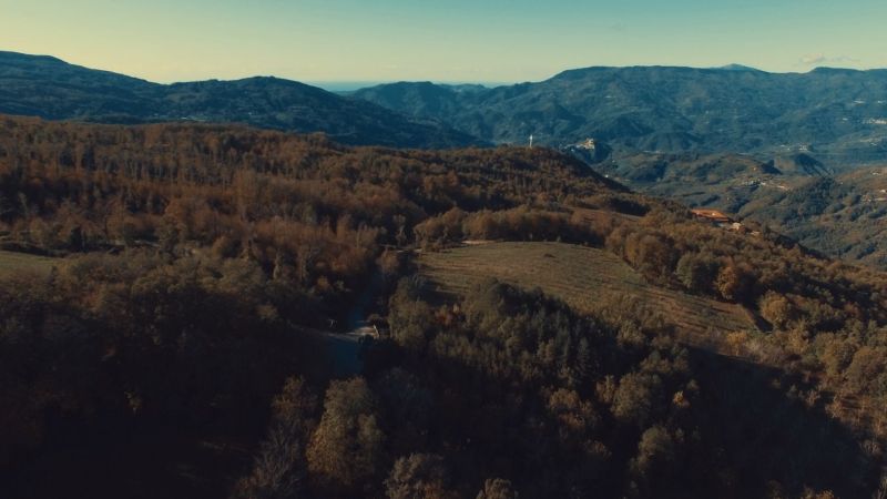 Patrimonio naturalistico Conflenti bc20d8d2 - Felici & Conflenti: pronti per "Una montagna di suoni", il trekking sul Reventino - 1 Felici & Conflenti: pronti per “Una montagna di suoni”, il trekking sul Reventino