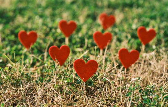 Cuori be2b96ce - Meraviglie di Calabria - 1