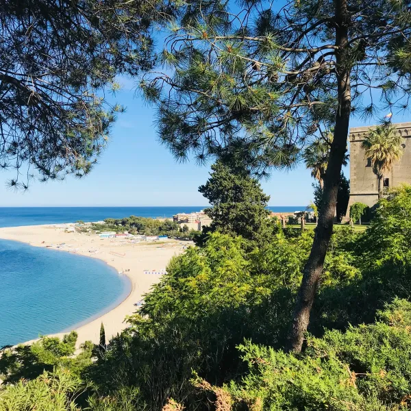 Soverato, un appello per salvare l’Orto Botanico Santicelli