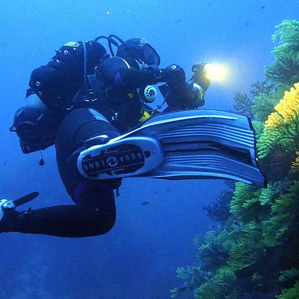 Blue Economy, le meraviglie del Parco Marino di Soverato