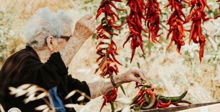 cibo peperoncini Taste Experience Calabria 1 beb25249 - Meraviglie di Calabria - 45