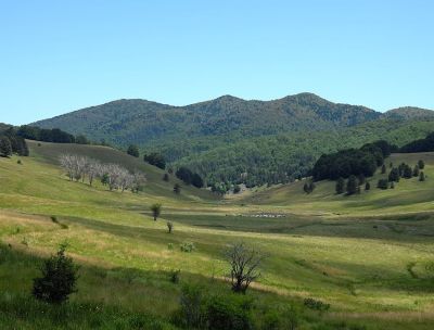 La Valle del Tacina, un tesoro verde nella Sila Piccola