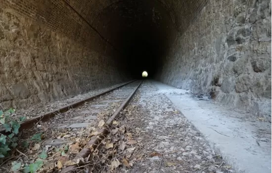 Via degli ulivi 1 bfbb0d41 - Meraviglie di Calabria - 5