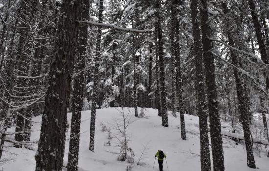 DSC 0113 scaled e1675320617178 38522c08 c2193ea3 - Meraviglie di Calabria - 1