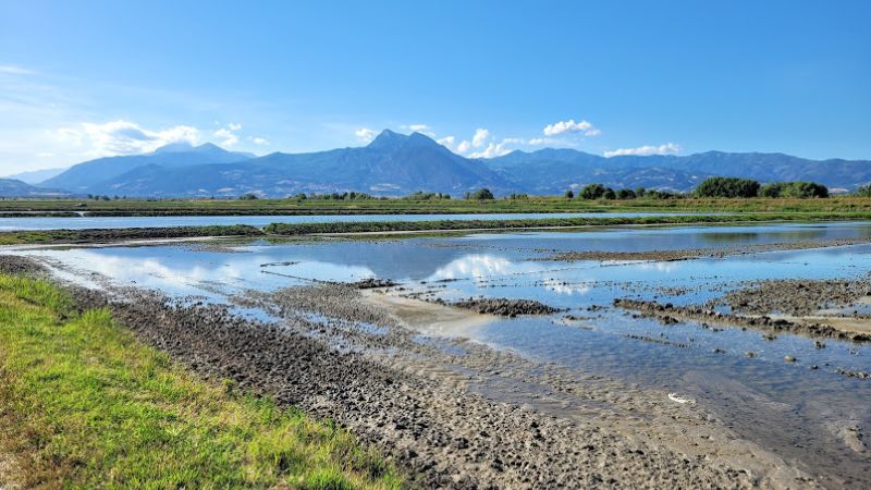 Riasaie Sibari ph credits Maria Corrado 2 c2faab01 - E se il riso calabrese lo piantassimo in Cina? Ci prova il Magisa di Villapiana - 1 E se il riso calabrese lo piantassimo in Cina? Ci prova il Magisa di Villapiana