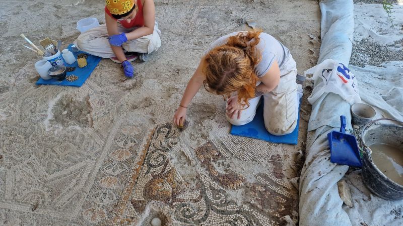 359445190 3042813952529753 7189021250445456074 n 1 c3d8e09a - Casignana, restaurato il mosaico di Dioniso. E’ un tripudio di colori - 1 Casignana, restaurato il mosaico di Dioniso. E’ un tripudio di colori