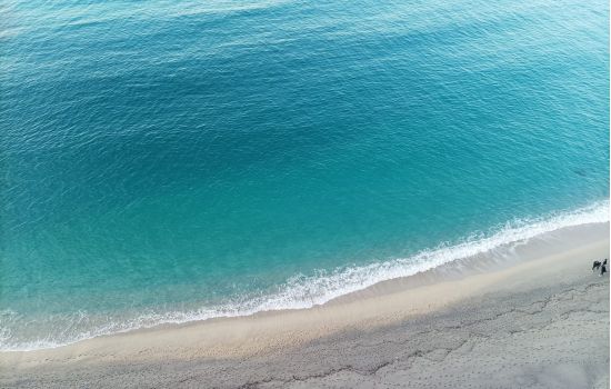 tropea