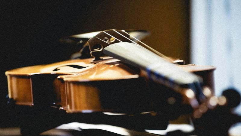 violino c303e3ed - I Maestri Acri e Perrotta in concerto a Cosenza con Brahms e Franck - 1 I Maestri Acri e Perrotta in concerto a Cosenza con Brahms e Franck