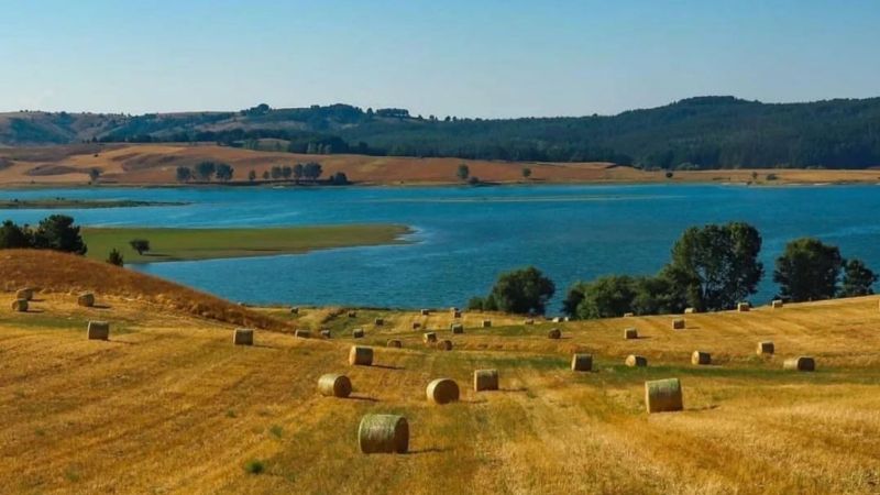 WhatsApp Image 2024 07 12 at 10.35.10 c4f92a17 - È la Calabria una delle regioni con le più vaste aree verdi e blu in Europa - 1 È la Calabria una delle regioni con le più vaste aree verdi e blu in Europa
