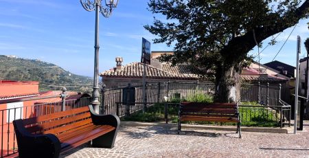 montepaone olmo gigante c4d37314 - Meraviglie di Calabria - 3