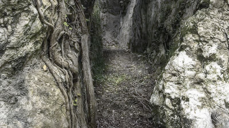 Aspromonte, in cammino verso la Grotta dei Re