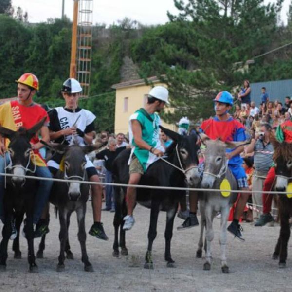 Laino Borgo: XXV Edizione del Palio Cu i Ciucci