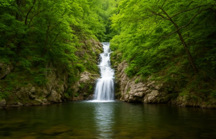 Nel Parco delle Serre dove la natura è sacra