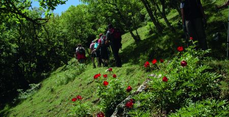 Cammino Basiliano tappa07 cerchiara civita foto2 escursionisti tralepeonie c628d241 - Meraviglie di Calabria - 41
