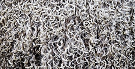 tosatura c6094c78 - Meraviglie di Calabria - 21