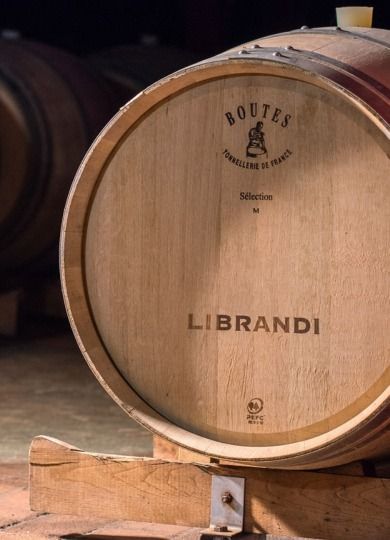 Librandi c7bc2bb8 - Vino Rosso IGT Calaonda (Confezione da 6 pz) - Azienda vinicola Librandi - 2 Librandi c7bc2bb8 - Meraviglie di Calabria - 1