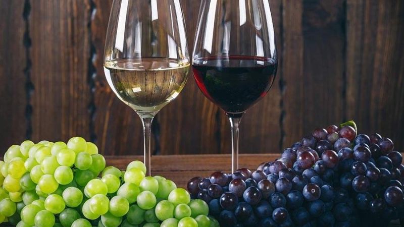 cdv 0003 vino rosso vino bianco dieta 1 c7eefeb0 - Qualità e sostenibilità, la Calabria del vino secondo Slow Wine 2024 - 1 Qualità e sostenibilità, la Calabria del vino secondo Slow Wine 2024