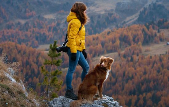 dog trekking wide1 c7e88db9 - Meraviglie di Calabria - 19