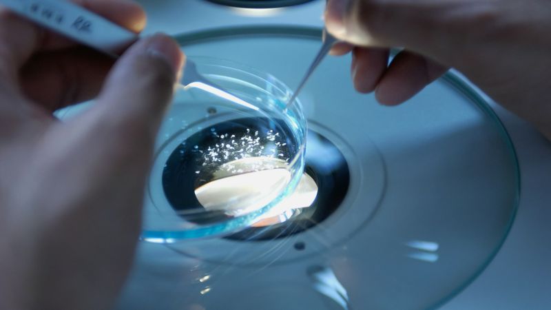 Ricerca oncologica, i nuovi bandi per borse di studio della Fondazione Lilli