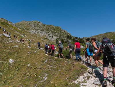 Tanti luoghi, tante storie, un solo festival: ecco il Festival Pollino-Sybaris