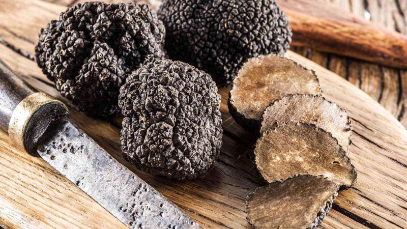 trivelli tartufi neri c812f474 - Laino Borgo, domani festa d’autunno con il tartufo del Pollino - 1 Laino Borgo, domani festa d’autunno con il tartufo del Pollino