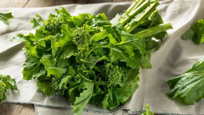 cime di rapa 2 cab752bd - A Bisignano il festival che valorizza il broccolo di rapa calabrese - 1 A Bisignano il festival che valorizza il broccolo di rapa calabrese