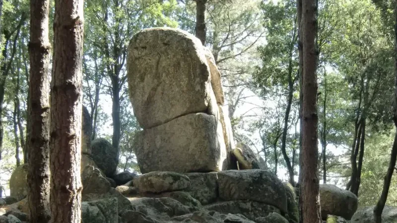 40213009 e1713288147170 cb784073 - Storia della Calabria da riscrivere, i geositi di Nardodipace la “chiave di volta” - 1 Storia della Calabria da riscrivere, i geositi di Nardodipace la “chiave di volta”