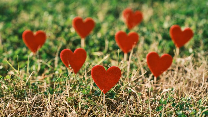 Cuori cb09e5ac - Luoghi del Cuore, il FAI finanzia il Percorso dei Mulini di Amato - 1 Luoghi del Cuore, il FAI finanzia il Percorso dei Mulini di Amato